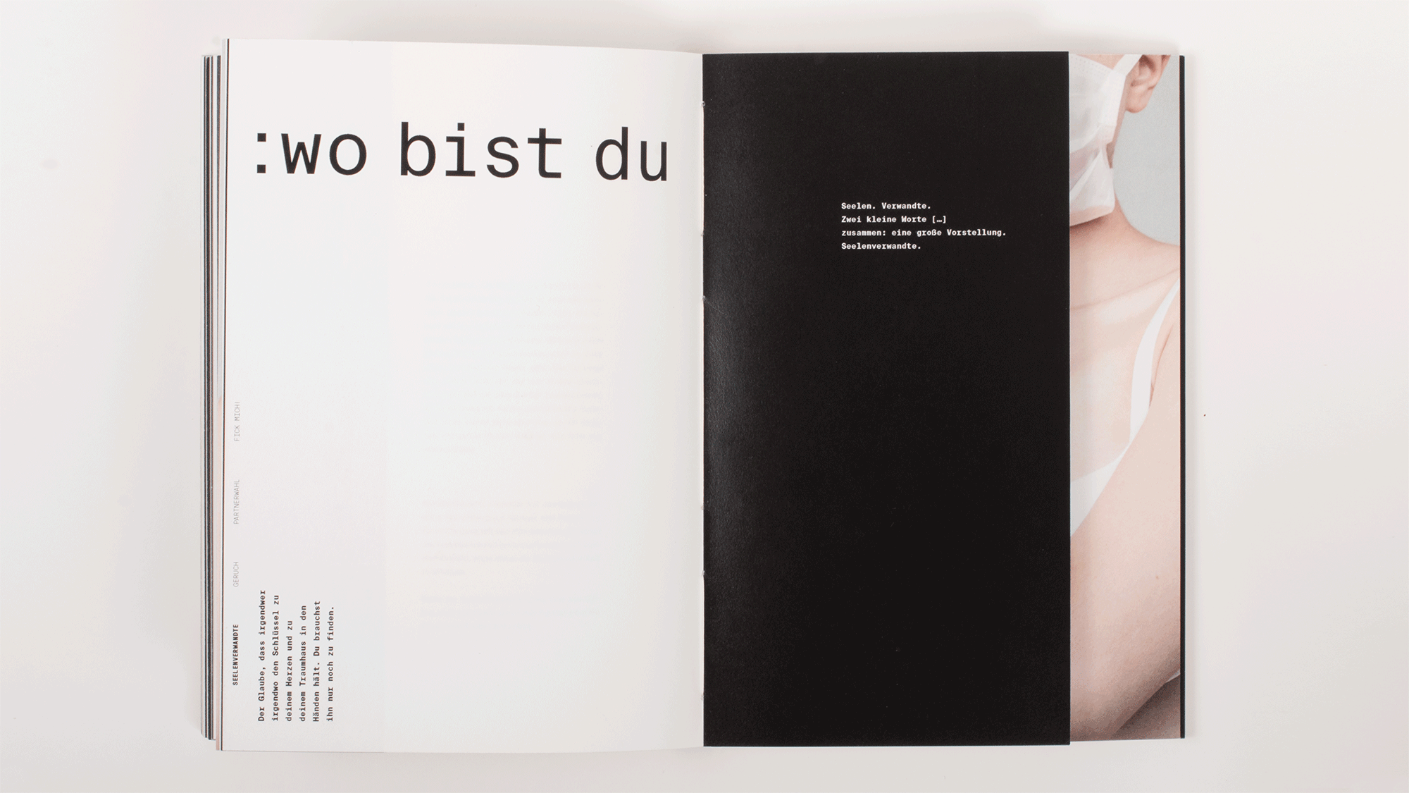 Luise Thüringer    <b>386gramm Liebe</b> Book Design & Photography